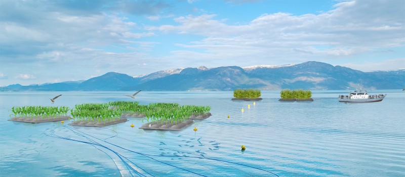 Hung Cheng - Ocean Farming